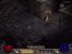 <strong>23.03.2010:</strong> Der Patch 1.13c erscheint für Diablo 2, er fügt dem Spiel unter anderem eine lange überfällige Respec-Funktion hinzu.
