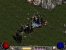 Der legendäre Cow-Level aus Diablo II