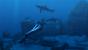 Unterwasser: Tomb Raider Underworld
