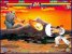 Gefaket! Sheng Long gegen Ryu.