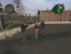 Unsere Schulzeit sah anders aus. In <strong>Canis Canem Edit</strong>, später in einer überarbeiteten Fassung unter dem Namen <strong>Bully: Die Ehrenrunde</strong> bekannt, durchleben Spieler die etwas andere Schullaufbahn eines fünfzehnjährigen Teenagers. Dieser muss sich unter anderem gegen die Angriffe eines bekannten Schlägers zur Wehr setzen und teilt dabei selbst gut aus.
