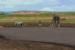 Afrika: Jede Menge Landschaft und Tiere.