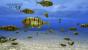 Aquanaut's Holiday: Hidden Memories: Hier erlebt die Aquanaut's Holiday-Reihe in den Tiefen des Meers ihr Revival auf der PlayStation 3.