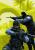 Counter-Strike