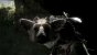 ...The Last Guardian? Ganze drei Jahre ist es her, dass der Trailer für The Last Guardian vorgestellt wurde. Seitdem hat fast vollständig Funkstille rund um das Action-Adventure geherrscht. Auch auf der E3 2012 gab's das große Schweigen. 