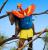 Der wohl bekannteste Rucksacktourist der Welt: Kazooie aus Banjo-Kazooie - hier in einer Illustration von worth1000.com, bei der Spielecharaktere möglichst realistisch dargestellt werden sollten.