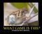 Die coolsten Video-Spiele-Memes - Neues Update mit Minecraft. (16)