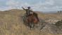 Red Dead Redemption: Egal ob Wildpferde zureiten oder eine Kutsche beschützen, die Pferde in Red Dead Redemption sind brillant umgesetzt.