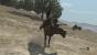 Red Dead Redemption (Test-Version) (11)