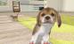 Eines der ersten Spiele für Nintendo 3DS: Nintendogs + Cats
