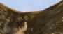 Red Dead Redemption Glitch