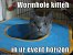 Lolcats sind ein echtes Internetphänomen: Obwohl es schon über hundert Jahre witzige Bilder mit Katzen gibt, ging der Boom erst 2007 so richtig los. Mittlerweile gehört icanhascheezburger.com, Ursprungsort der lolcats, zu den erfolgreichsten Seiten weltweit. (2)