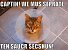 Lolcats sind ein echtes Internetphänomen: Obwohl es schon über hundert Jahre witzige Bilder mit Katzen gibt, ging der Boom erst 2007 so richtig los. Mittlerweile gehört icanhascheezburger.com, Ursprungsort der lolcats, zu den erfolgreichsten Seiten weltweit. (13)