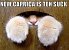 Lolcats sind ein echtes Internetphänomen: Obwohl es schon über hundert Jahre witzige Bilder mit Katzen gibt, ging der Boom erst 2007 so richtig los. Mittlerweile gehört icanhascheezburger.com, Ursprungsort der lolcats, zu den erfolgreichsten Seiten weltweit. (15)