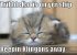 Lolcats sind ein echtes Internetphänomen: Obwohl es schon über hundert Jahre witzige Bilder mit Katzen gibt, ging der Boom erst 2007 so richtig los. Mittlerweile gehört icanhascheezburger.com, Ursprungsort der lolcats, zu den erfolgreichsten Seiten weltweit. (21)