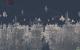 Endless City: Die DX11-Techdemo für Nvidias Geforce GTX 580. (5)