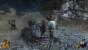 Wildtiere