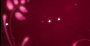 "Kettenreaktion" ist das Zauberwort in <a class="posRel pe-4" href="http://gambolio.com/#/game-play:19583/" target="_blank" rel="noopener " >Flower Reaction<span class="icon extLinkIcon posAbs"></span></a>: Hier geht es darum, Blumen dadurch zum Blühen zu bringen, indem man sie mit anderen Blüten kollidieren lässt. Kollidieren? Blumen? Wie das zusammenpasst, seht ihr am Besten selbst!