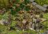 Stronghold Kingdoms: Das Burgenbauen geht im Browser weiter - mit nur einer Stimme schaffte es das Spiel aber nicht ins Games Aktuell-Voting zum besten Browserspiel 2010.