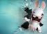 Völlig durchgeknallt: Außer den Rabbids gibt es noch viele weitere verrückte Charaktere in Computer - und Videospielen.