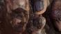 <strong>Kronos</strong> aus <strong>God of War 3</strong> - Der Kampf gegen den Herrscher über die Zeit fällt spektakulär aus: Protagonist Kratos ist im Vergleich mit der antiken Gottheit ein Winzling. Der furchtlose Spartaner passt genau zwischen zwei Finger des Riesen. 