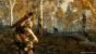 Die Spielwelt von The Elder Scrolls 5: Skyrim reicht von eisigen Berg-Gebieten bis hin zu dichtbewachsenen Wäldern.