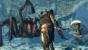 User Werwolf hat in <strong>The Elder Scrolls</strong> eine Menge Gold mit Arenakämpfen verdient.