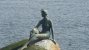 Impressionen aus dem Stanley Park in Vancouver