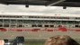 Impressionen vom F1-Rennen auf dem Nürburgring