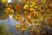<strong>Release im Herbst:</strong> Mittlerweile ist fast sicher, dass das iPhone 5 im Herbst erscheint. Der Zeitraum September bis Oktober ist nach Expertenmeinung sehr wahrscheinlich, Apple würde das Smartphone dann im August ankündigen. Den Weihnachtsmarkt wird sich Apple auf keinen Fall entgehen lassen. <strong>80 Prozent.</strong>