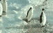 Hier findet ihr unsere Übersicht der lustigsten animierten gif-Bilder. Egal ob Fails, Wins oder einfach nur Klamauk, hier gibt's was zu lachen. (20)