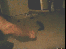Hier findet ihr unsere Übersicht der lustigsten animierten gif-Bilder. Egal ob Fails, Wins oder einfach nur Klamauk, hier gibt's was zu lachen. (11)