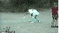 Hier findet ihr unsere Übersicht der lustigsten animierten gif-Bilder. Egal ob Fails, Wins oder einfach nur Klamauk, hier gibt's was zu lachen. (17)