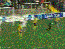 Hier findet ihr unsere Übersicht der lustigsten animierten gif-Bilder. Egal ob Fails, Wins oder einfach nur Klamauk, hier gibt's was zu lachen. (27)