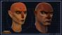Die katzenartigen Cathar wird es in Star Wars: The Old Republic geben.