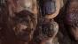 <strong>God of War III:</strong> Im klassischen David gegen Goliath Stil muss sich der Protagonist Kratos gegen dieses Ungetüm behaupten. Dabei ist er nicht einmal so groß wie der Fingernagel des Titanen Kronos. In einem episch inszenierten Kampf stellt sich aber schnell heraus, wer der eigentliche Boss im Ring ist.
