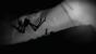 Das Indie-Game <strong>Limbo</strong> sticht durch einen abgefahrenen Stil aus den Massen hervor. An der Seite eines kleinen Jungen schlagen wir uns in einer düsteren, minimalistischen Welt von Rätsel zu Rätsel und werden am Ende sogar auf eine eigensinnige Weise dafür belohnt.
