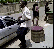 Hier findet ihr unsere Übersicht der lustigsten animierten gif-Bilder. Egal ob Fails, Wins oder einfach nur Klamauk, hier gibt's was zu lachen. (6)