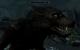 In Skyrim könnt ihr selbst zu einem Werwolf werden - dadurch werdet ihr stärker, könnt aber nicht mit der Umgebung interagieren.