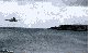 Stunt-Fails, lustige Katzen und Chuck Norris - Wir zeigen euch lustige gif-Bilder in unserem Update. (8)