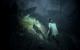 <strong>Alan Wake.</strong> Das Horror-Spiel ist bekannt für seine atmosphärische Welt, die unter anderem Stephen King's Shining ihren Tribut zollt. Das Gameplay ist hierbei relativ linear. Die Welt kann bis zu einem gewissem Grad erkundet werden, an einen Open-World-Titel reicht das Game hier allerdings nicht heran. Doch das war eigentlich so geplant! Die Welt von Alan Wake sollte der aus einem GTA-Titel ähneln, was letztendlich aber nicht zur Story des Spiels passte.