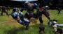 <strong>Blood Bowl</strong> - American Football meets Warhammer-Universum. In diesem kuriosen Sportspiel der etwas anderen Art geht es richtig zur Sache. Wenn sich Orks und Menschen auf den Ball stürzen, fliegen im wahrsten Sinne des Wortes die Fetzen. Für sich für Sport und Szenario begeistern kann, sollte diesen Geheimtipp einmal ausprobieren.