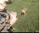 Lustige neue Gifs haben den Weg in unsere Galerie gefunden - heute mit vielen Katzen und jeder Menge Glück im Unglück. (10)