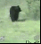 Lustige neue Gifs haben den Weg in unsere Galerie gefunden - heute mit vielen Katzen und jeder Menge Glück im Unglück. (1)