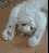 Lustige neue Gifs haben den Weg in unsere Galerie gefunden - heute mit vielen Katzen und jeder Menge Glück im Unglück. (3)