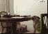 Lustige neue Gifs haben den Weg in unsere Galerie gefunden - heute mit vielen Katzen und jeder Menge Glück im Unglück. (5)