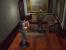 Resident Evil begeisterte Horror-Fans auf der ganzen Welt. Im ersten Teil der Reihe startet das Zombie-Gemetzel in Raccoon City nachdem einige seltsame Morde im Ort stattfanden.