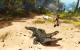 Der Papagei wird dem Spieler in Risen 2: Dark Waters als "Dirty-Trick" dienen.