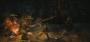 Screenshots aus Dragon's Dogma, das wir getestet haben. (3)