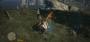 Screenshots aus Dragon's Dogma, das wir getestet haben. (4)